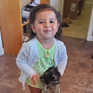 Meet your Posher, Roxanne